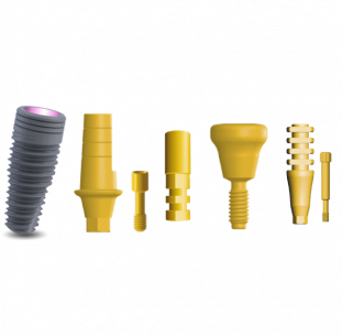 Kompletní set (implantát, abutment, analog, vhojovací váleček, transfer)